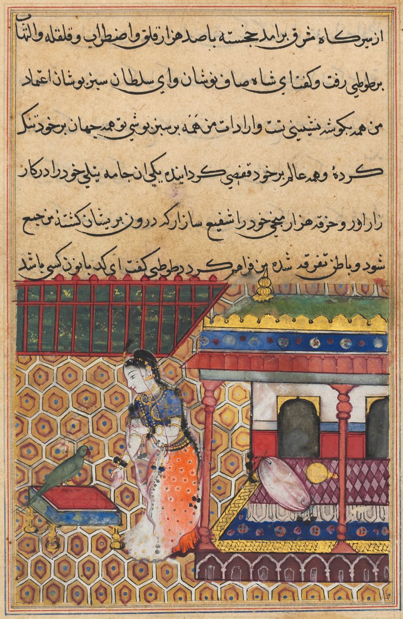 Pagina da Tales of a Parrot Tuti-nama: Trentasettesima notte: Il pappagallo si rivolge a Khujasta, c1560 da Unbekannt