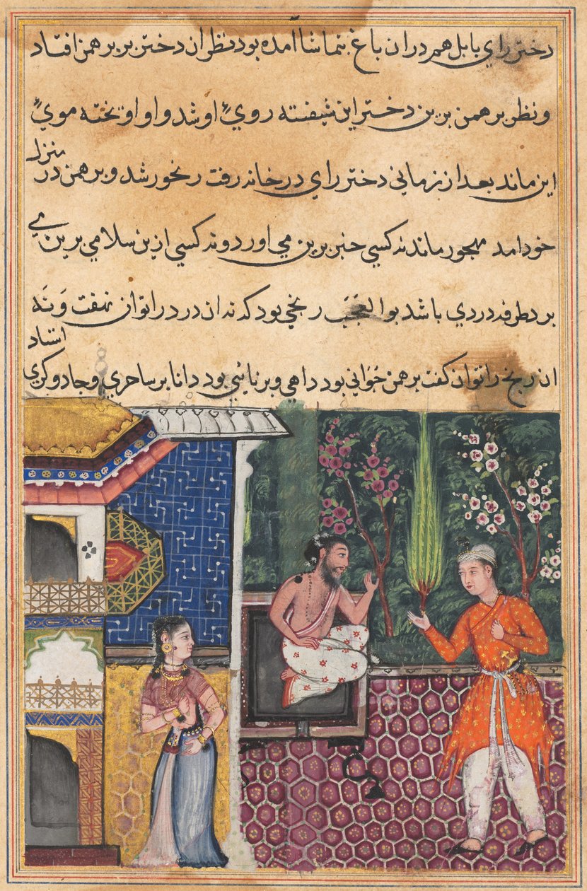 Pagina da Tales of a Parrot Tuti-nama: Trentacinquesima notte: Il Brahmano dà..., c. 1560 da Unbekannt