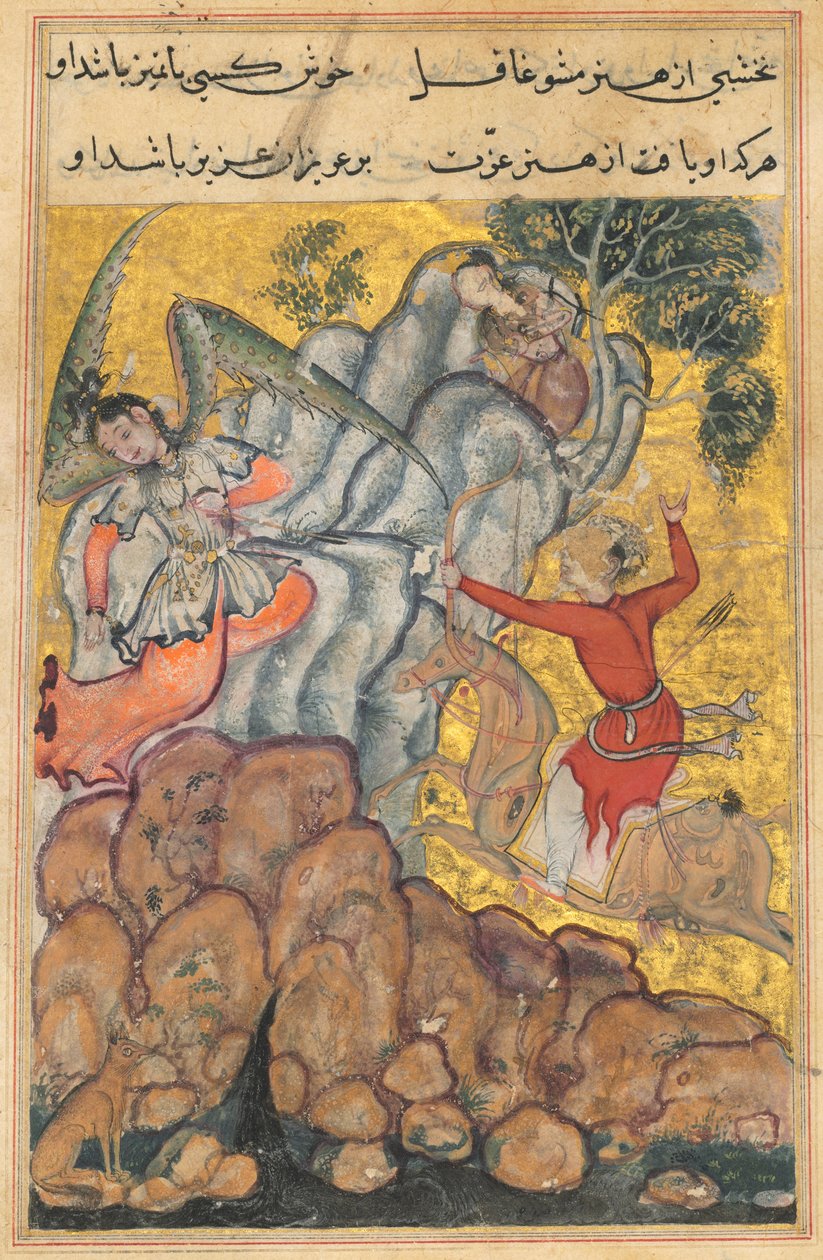 Pagina da Racconti di un pappagallo Tuti-nama: Trentaquattresima notte: Il terzo pretendente..., c. 1560 da Unbekannt
