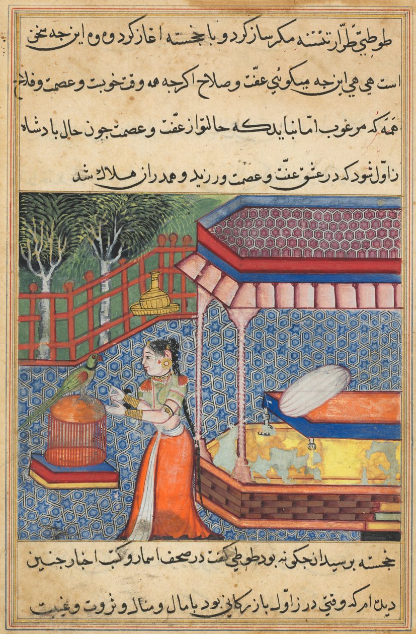 Pagina da Racconti di un pappagallo Tuti-nama: Trentasettesima notte: Il pappagallo si rivolge a Khujasta..., c. 15 da Unbekannt