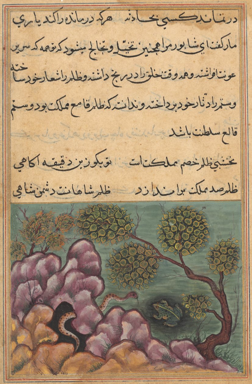 Pagina da Tales of a Parrot Tuti-nama: Ventiseiesima notte: La rana detronizzata..., c. 1560 da Unbekannt