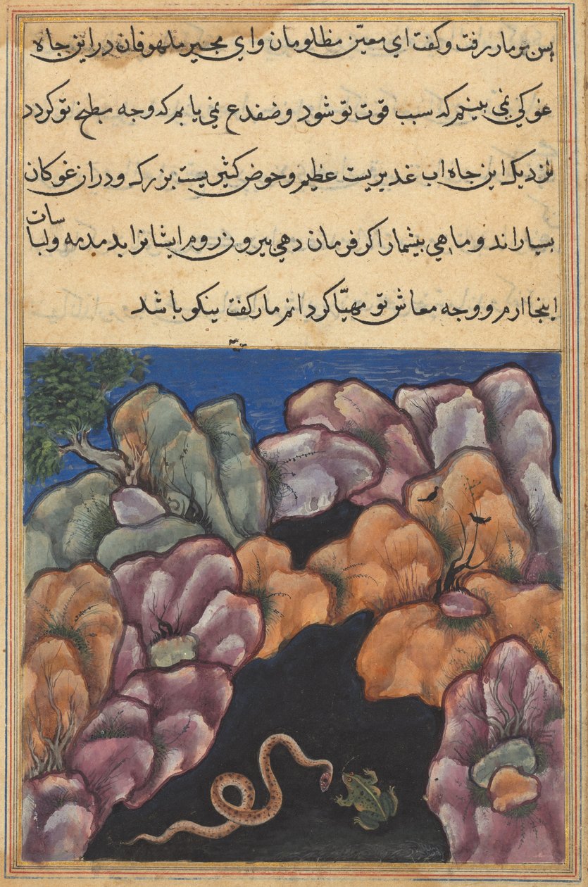 Pagina da Tales of a Parrot Tuti-nama: Ventiseiesima notte: Il serpente entra... da Unbekannt
