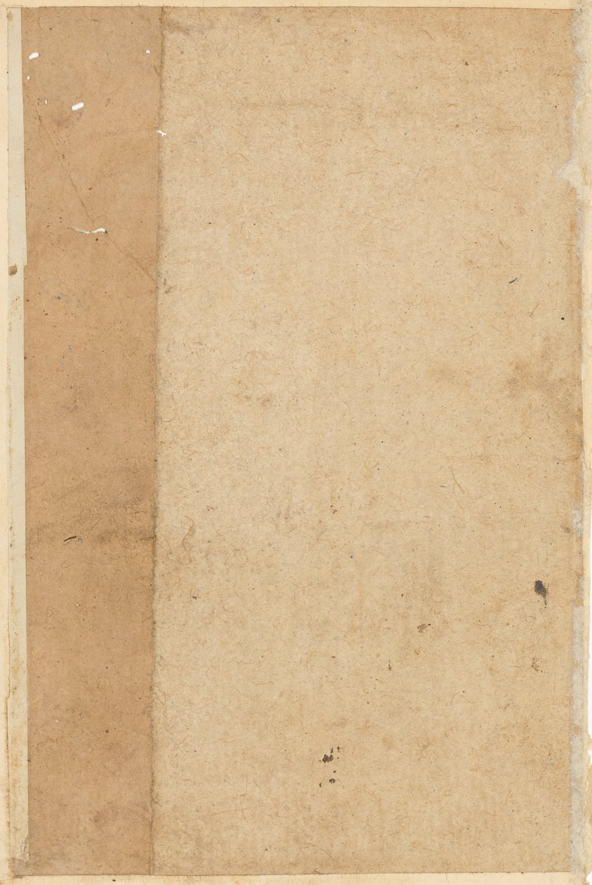 Pagina da Tales of a Parrot Tuti-nama: pagina bianca, c. 1560 da Unbekannt