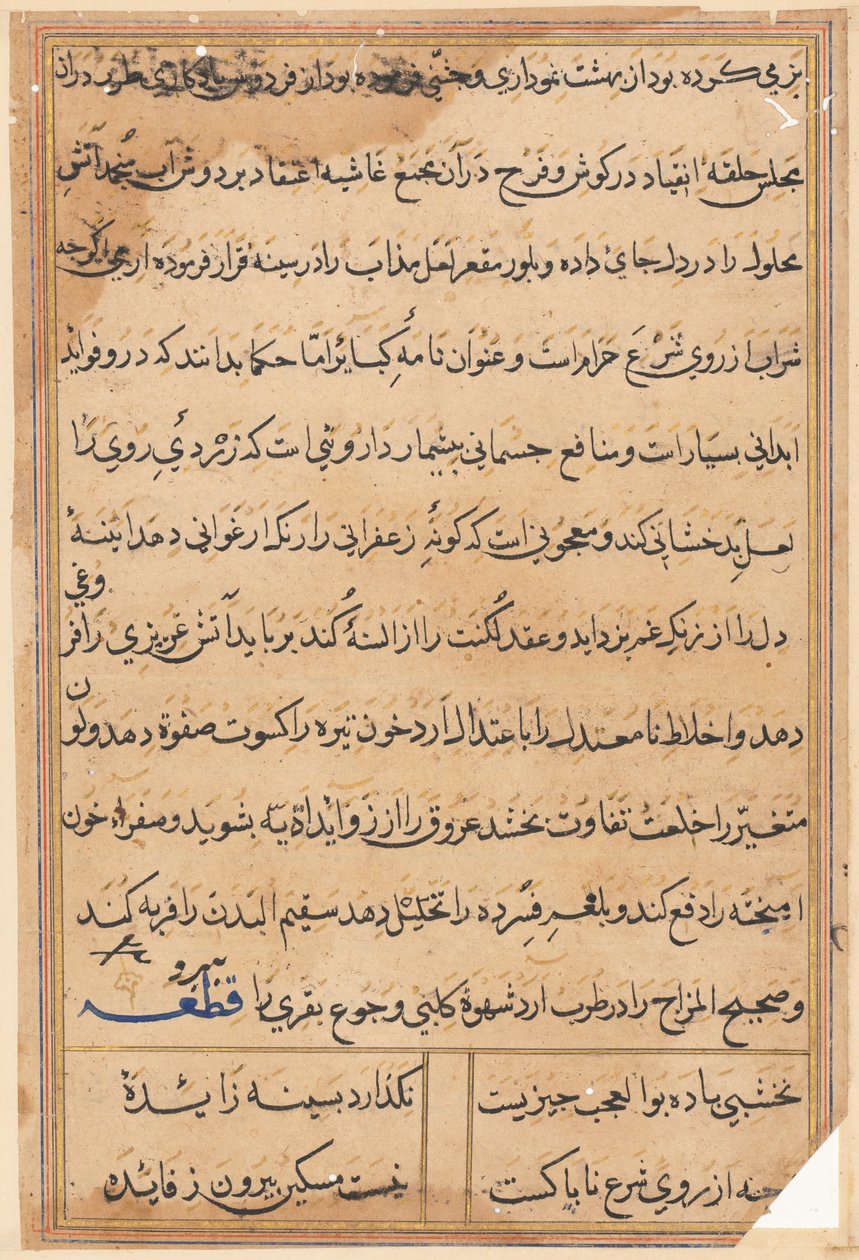 Pagina da Le storie di un pappagallo Tuti-nama: pagina di testo, c. 1560 da Unbekannt