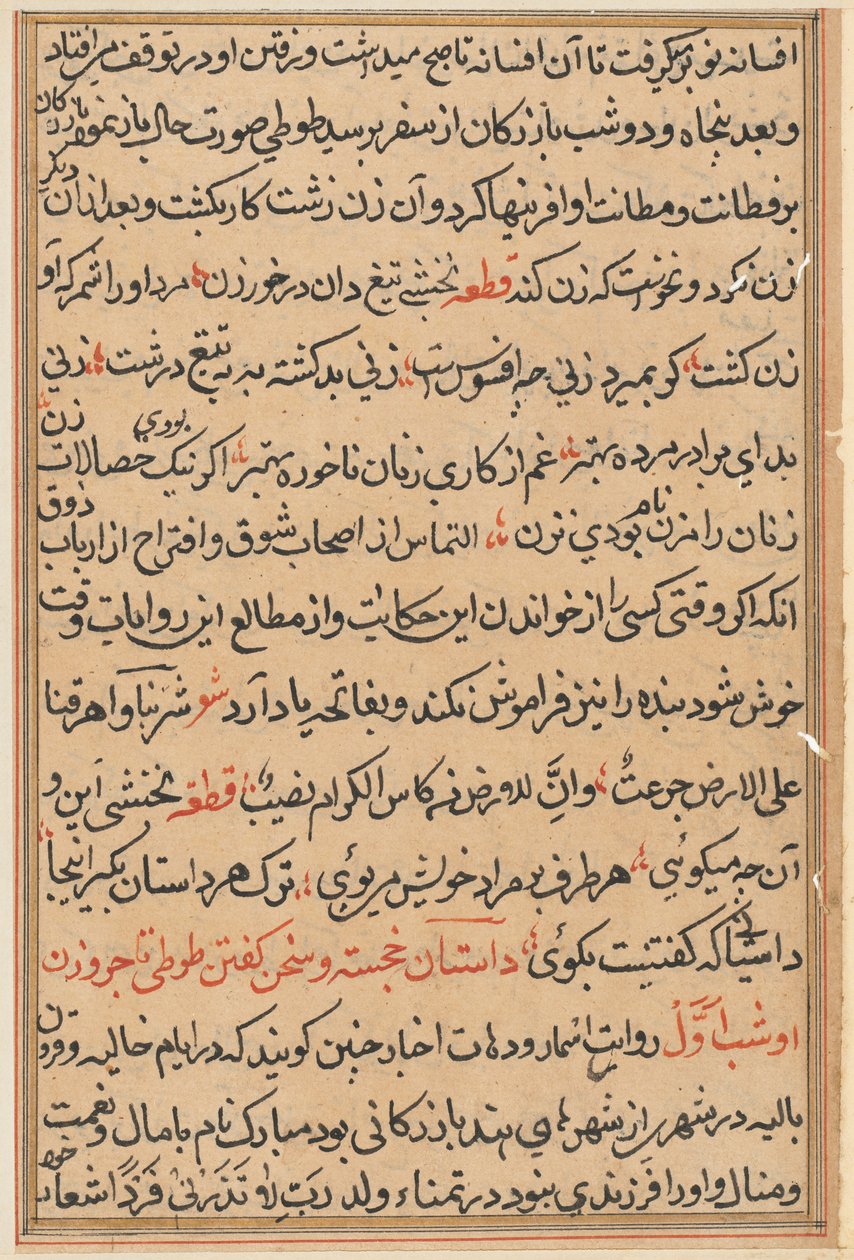 Pagina da Tales of a Parrot Tuti-nama: pagina di testo, c. 1560 da Unbekannt
