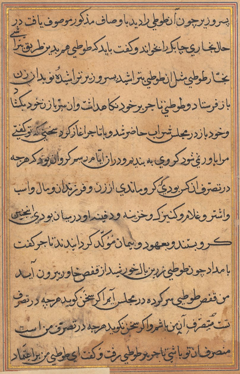 Pagina da Tales of a Parrot Tuti-nama: pagina di testo, c. 1560 da Unbekannt