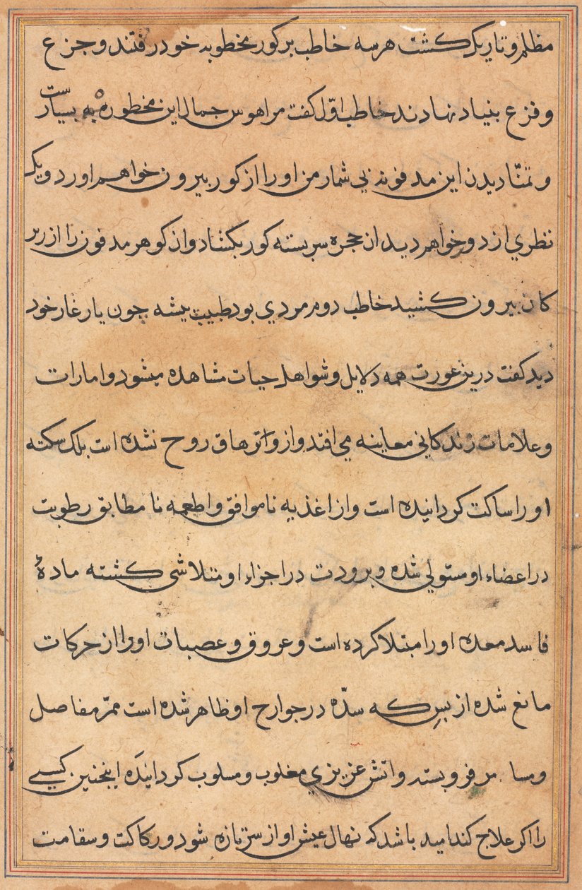 Pagina da Tales of a Parrot Tuti-nama: pagina di testo da Unbekannt