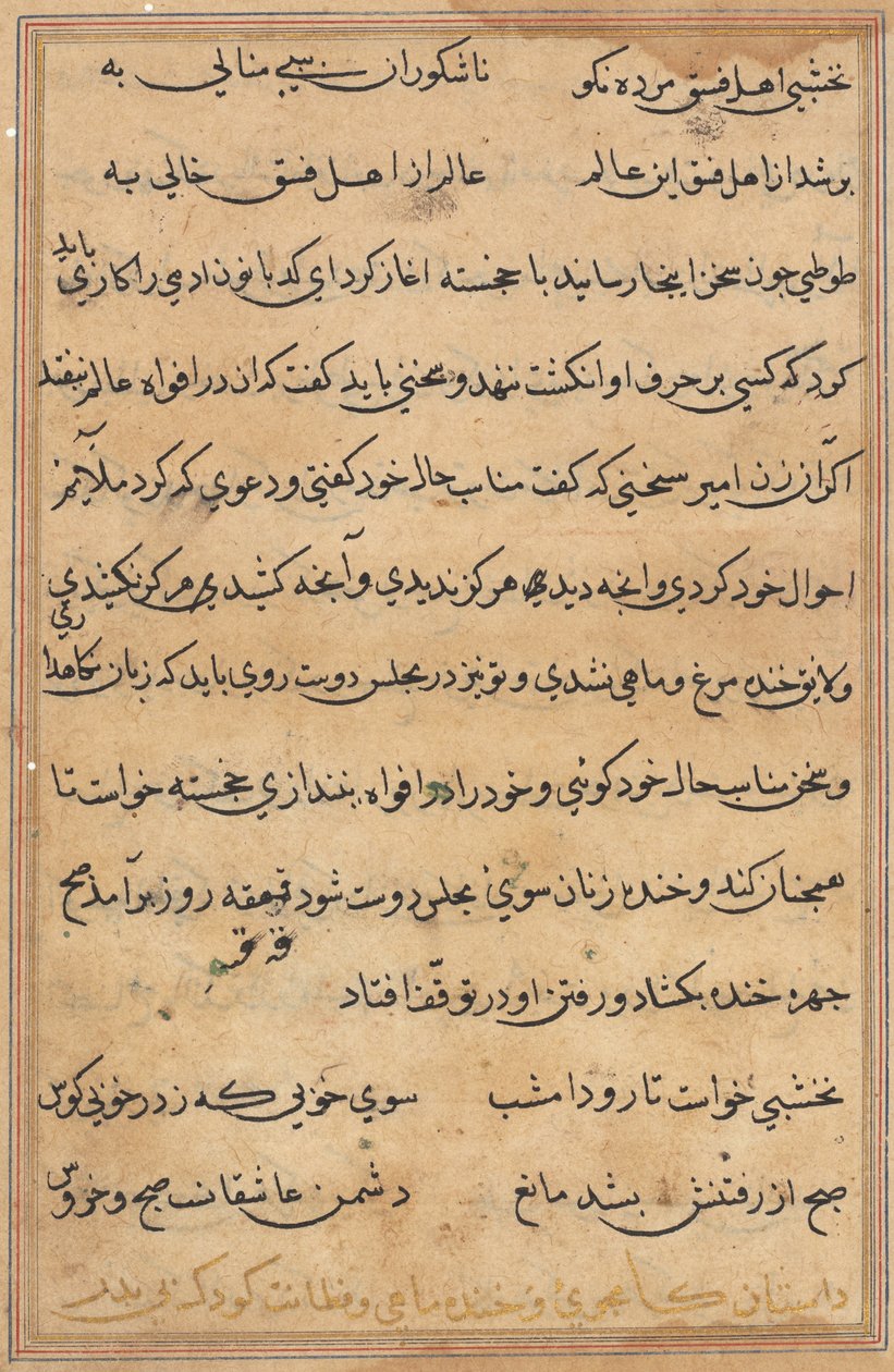 Pagina da Tales of a Parrot Tuti-nama: pagina di testo, c. 1560 da Unbekannt