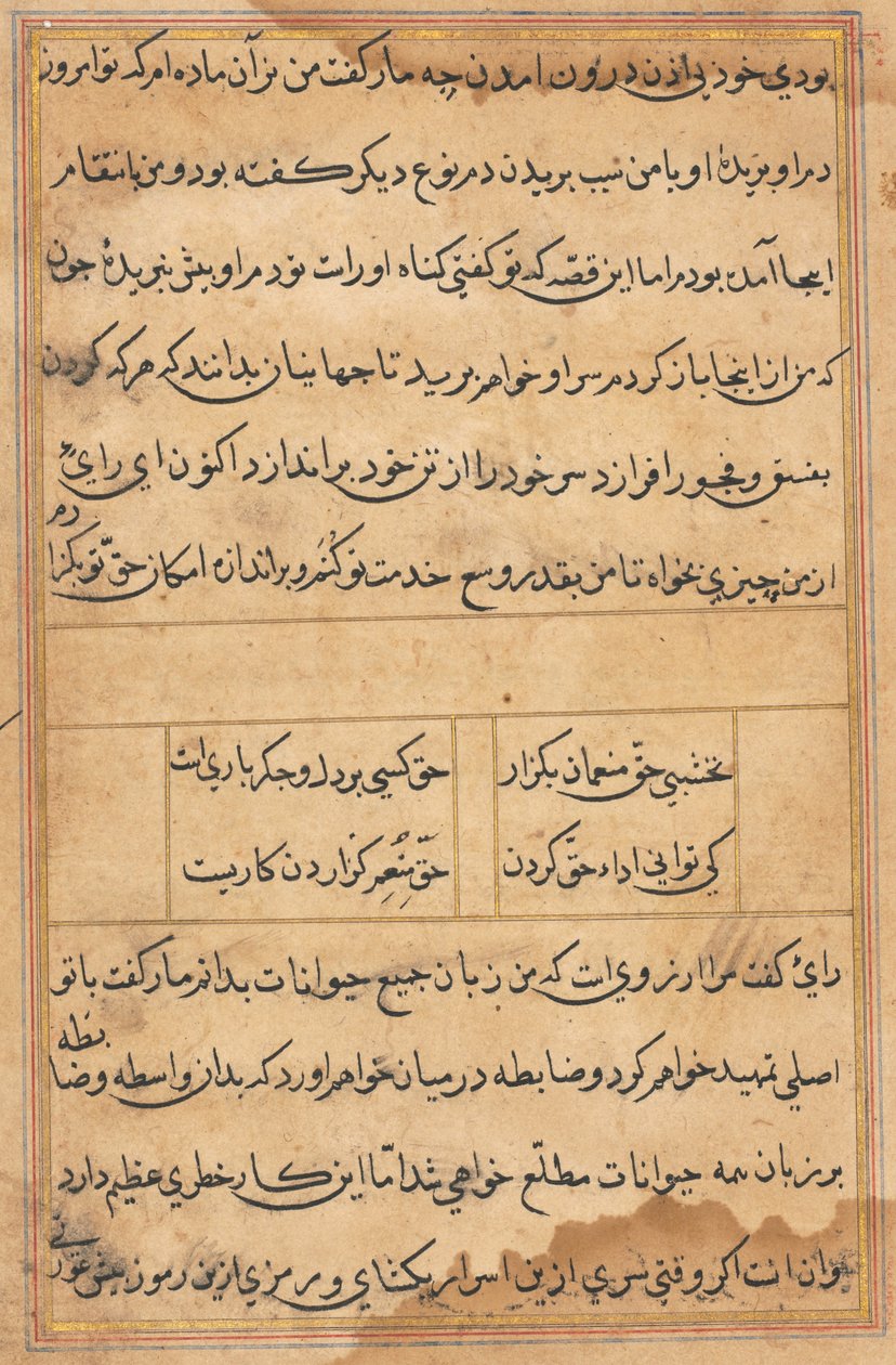 Pagina da Tales of a Parrot Tuti-nama: pagina di testo da Unbekannt