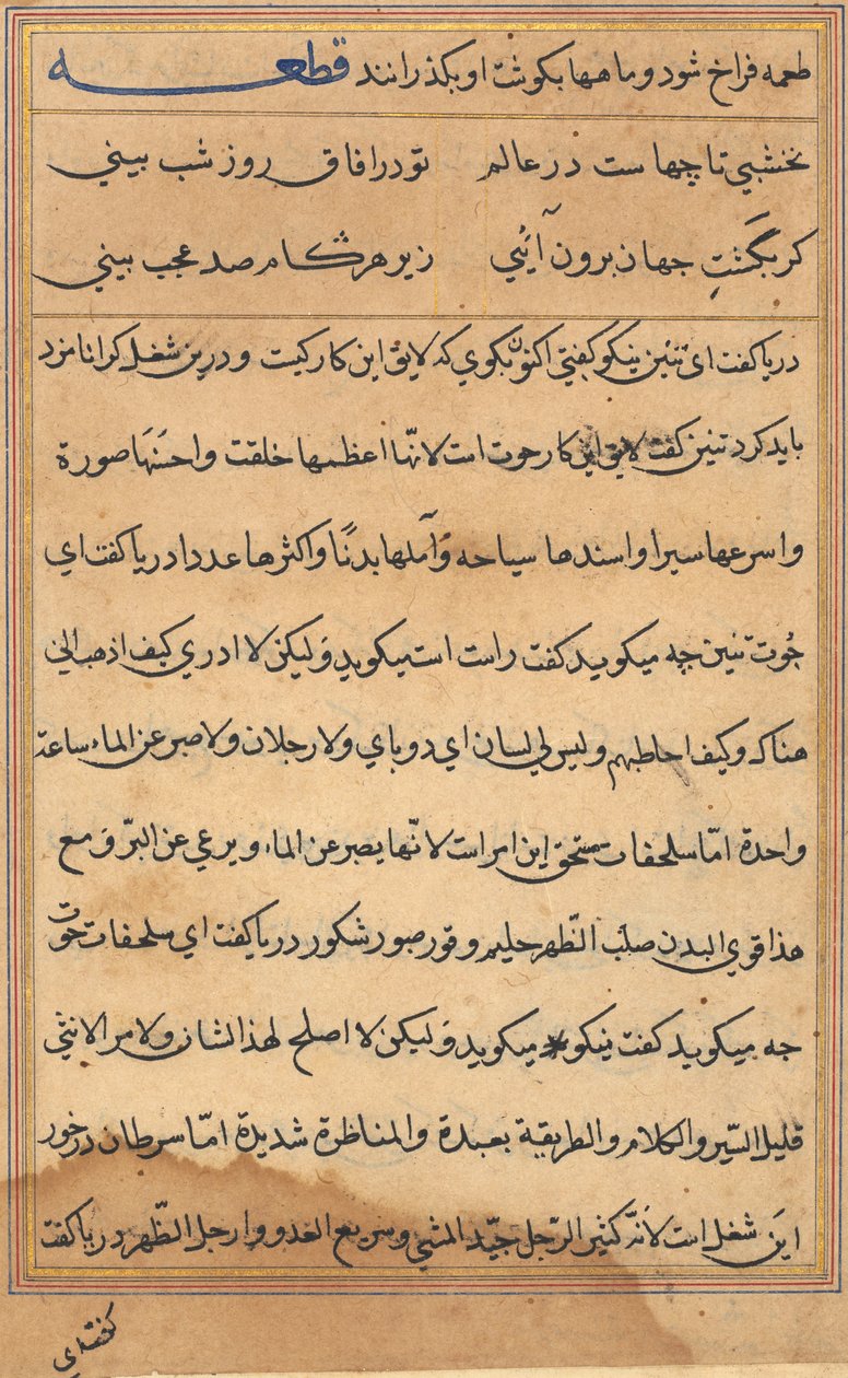 Pagina da Racconti di un pappagallo Tuti-nama: pagina di testo, c. 1560 da Unbekannt