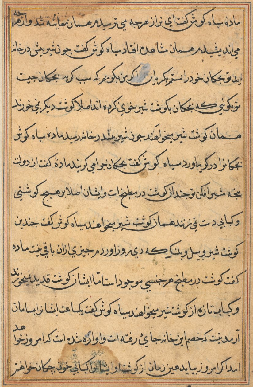 Pagina da Tales of a Parrot Tuti-nama: pagina di testo, c. 1560 da Unbekannt