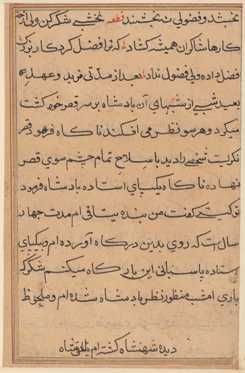 Pagina da Racconti di un pappagallo Tuti-nama: pagina di testo, c. 1560 da Unbekannt