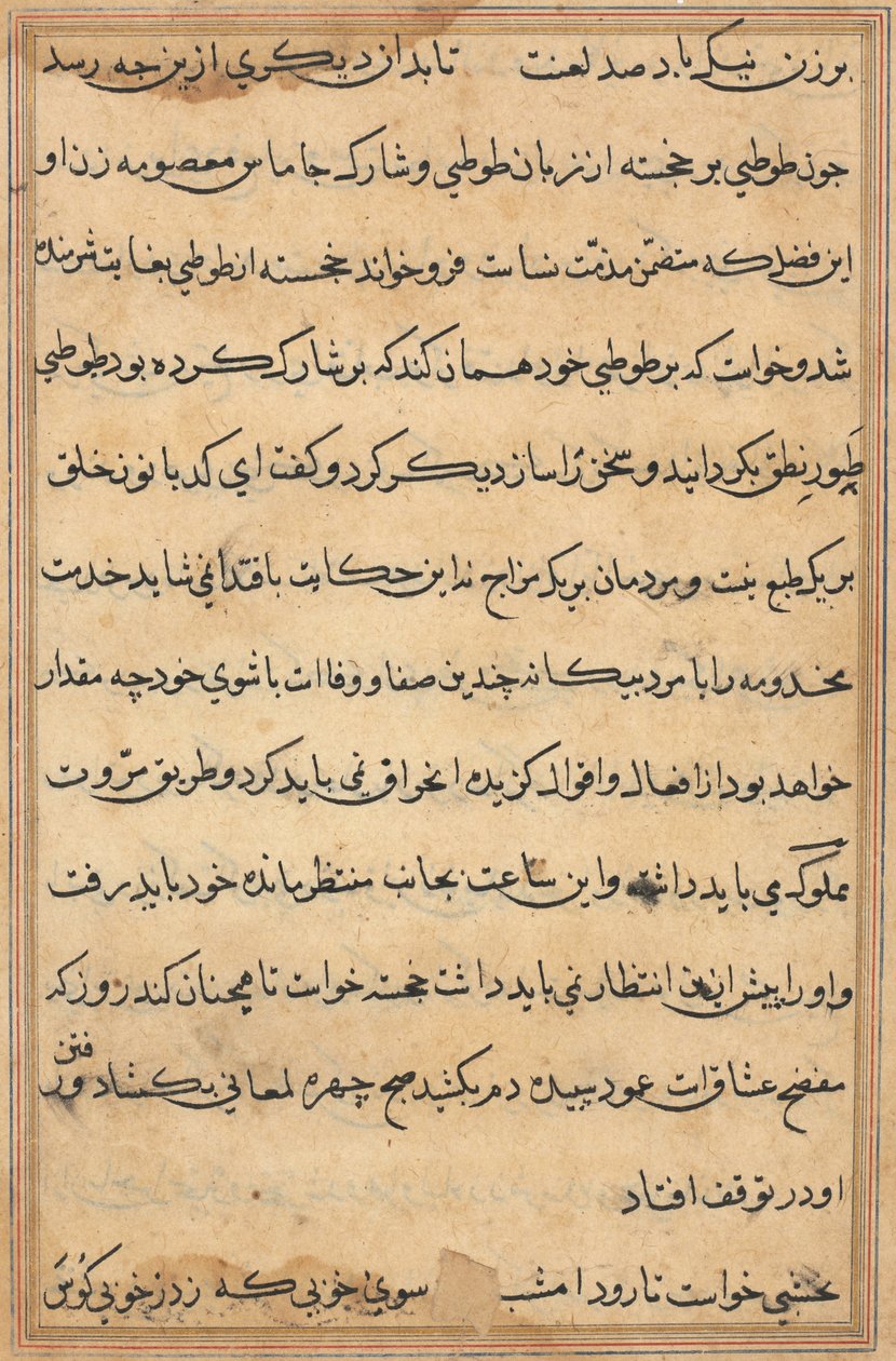 Pagina da Racconti di un pappagallo Tuti-nama: pagina di testo, c. 1560 da Unbekannt