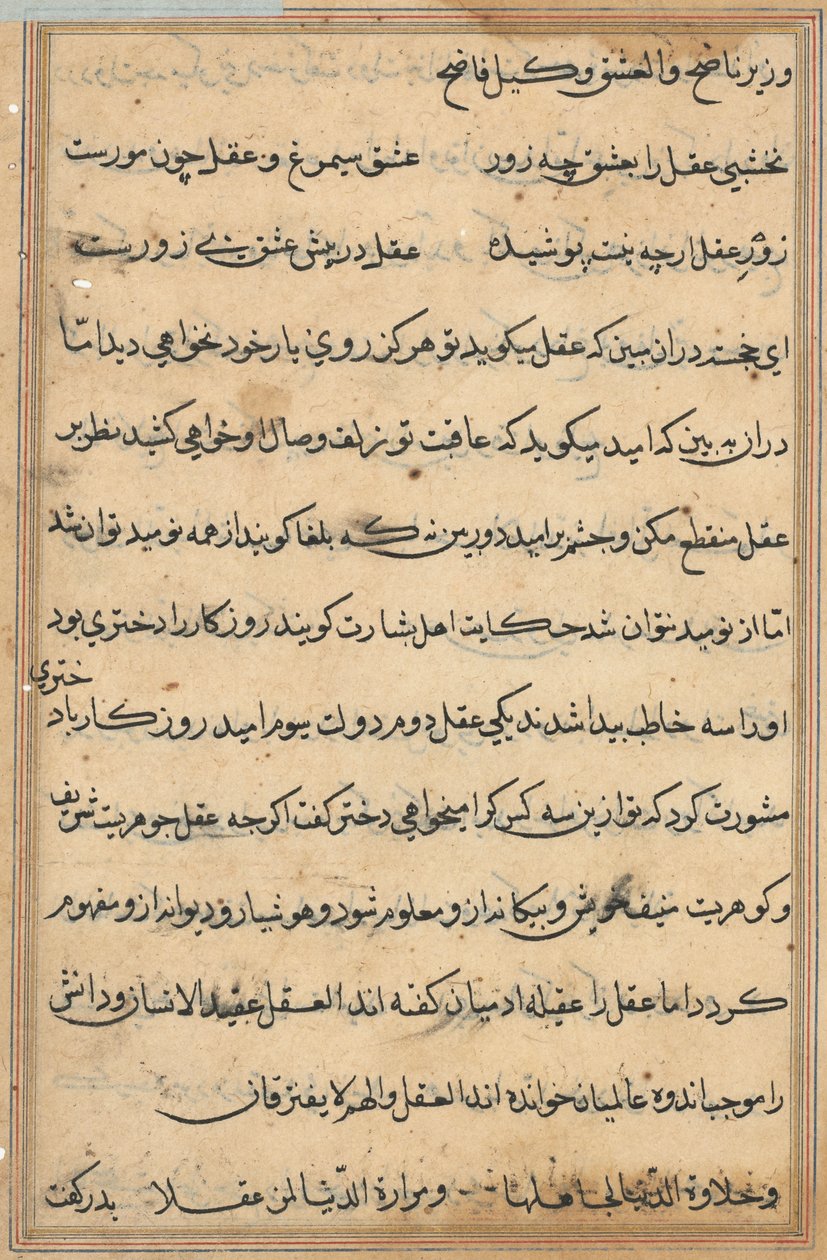 Pagina da Tales of a Parrot Tuti-nama: pagina di testo da Unbekannt