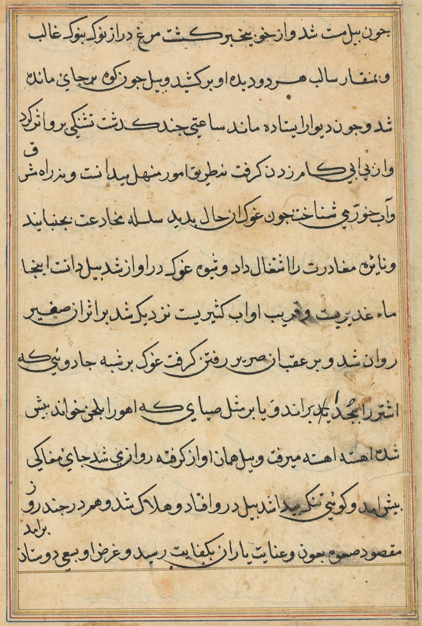 Pagina da Racconti di un Pappagallo Tuti-nama: pagina di testo, c. 1560 da Unbekannt