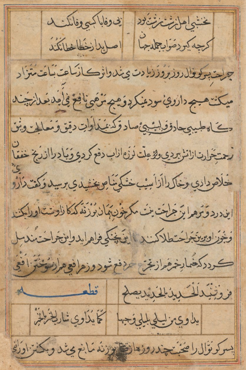 Pagina da Racconti di un pappagallo Tuti-nama: pagina di testo, c. 1560 da Unbekannt