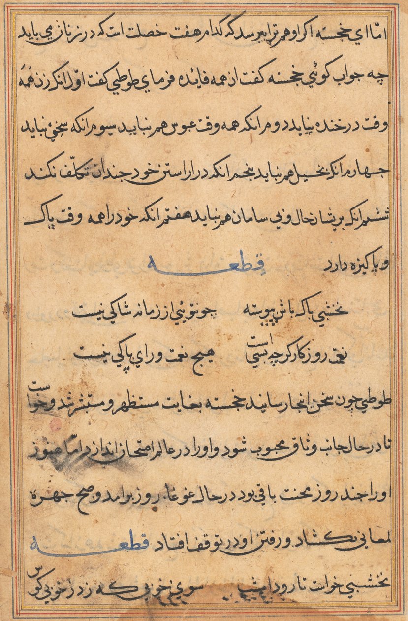 Pagina da Racconti di un pappagallo Tuti-nama: pagina di testo, c. 1560 da Unbekannt