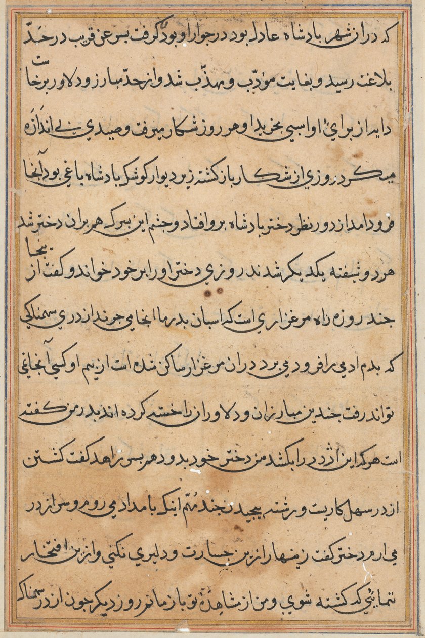 Pagina da Tales of a Parrot Tuti-nama: pagina di testo, c. 1560 da Unbekannt