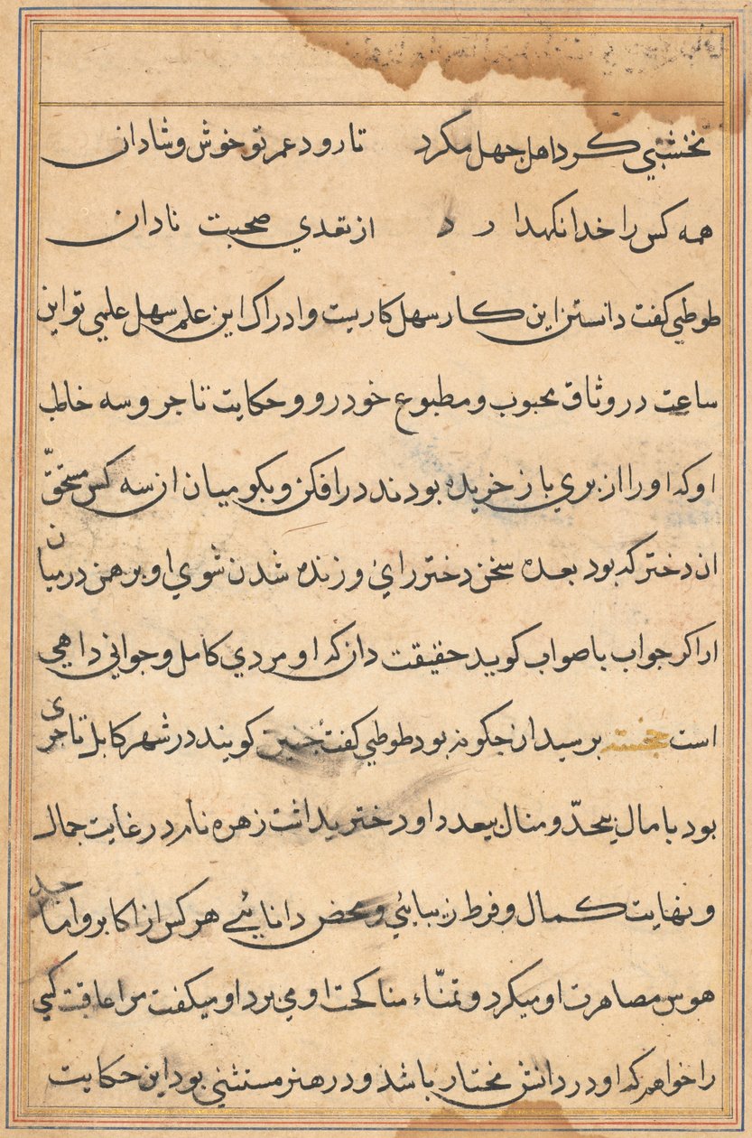 Pagina da Racconti di un pappagallo Tuti-nama: pagina di testo, c. 1560 da Unbekannt