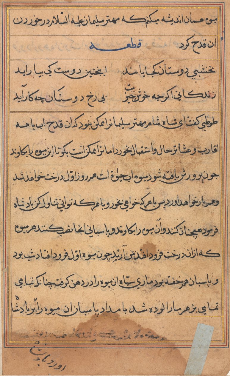 Pagina da Racconti di un pappagallo Tuti-nama: pagina di testo, c. 1560 da Unbekannt