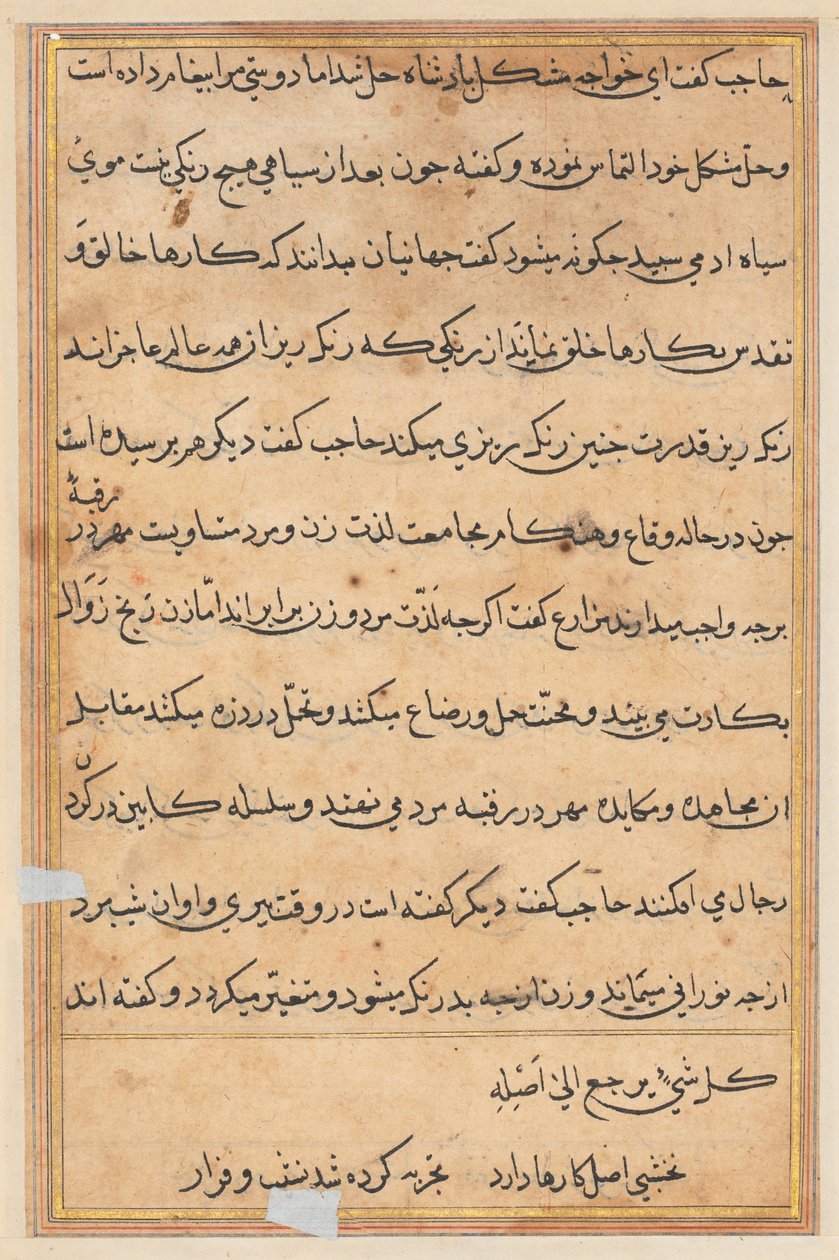Pagina da Tales of a Parrot Tuti-nama: pagina di testo, c. 1560 da Unbekannt