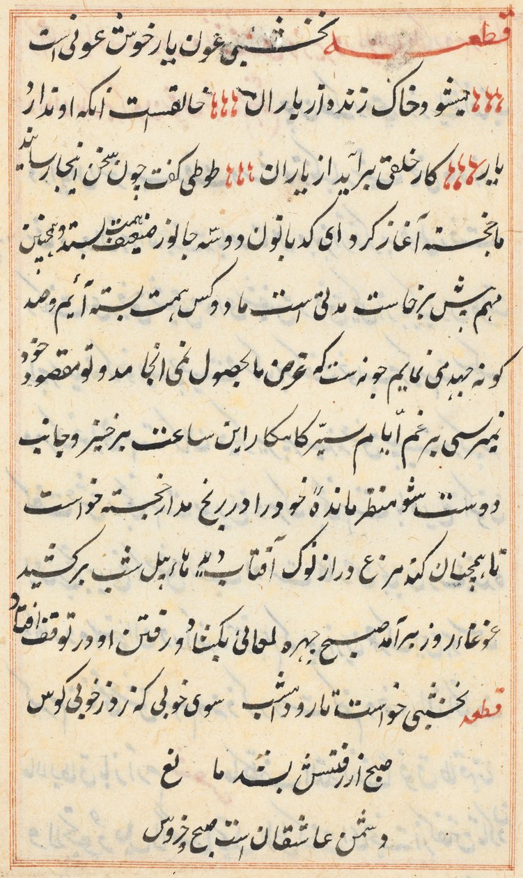 Pagina da Tales of a Parrot Tuti-nama: pagina di testo, c. 1560 da Unbekannt