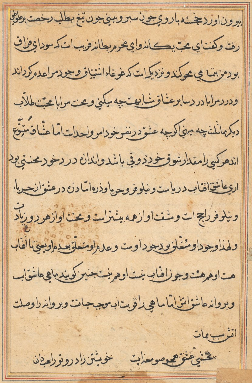 Pagina da Tales of a Parrot Tuti-nama: pagina di testo, c. 1560 da Unbekannt