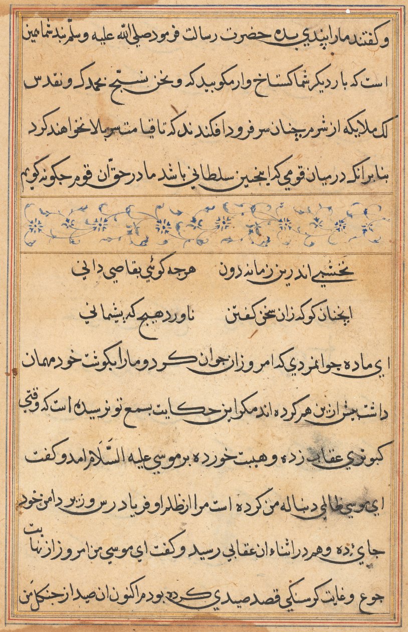 Pagina da Tales of a Parrot Tuti-nama: pagina di testo, c. 1560 da Unbekannt