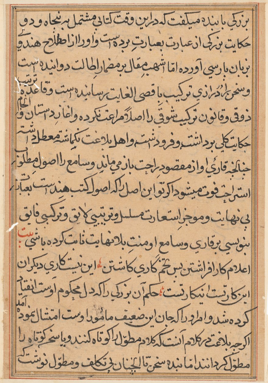 Pagina da Tales of a Parrot Tuti-nama: pagina di testo da Unbekannt