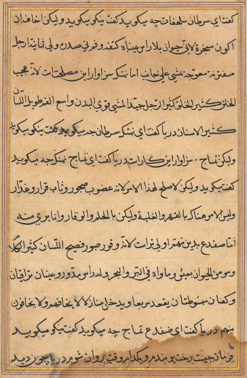 Pagina da Tales of a Parrot Tuti-nama: pagina di testo da Unbekannt