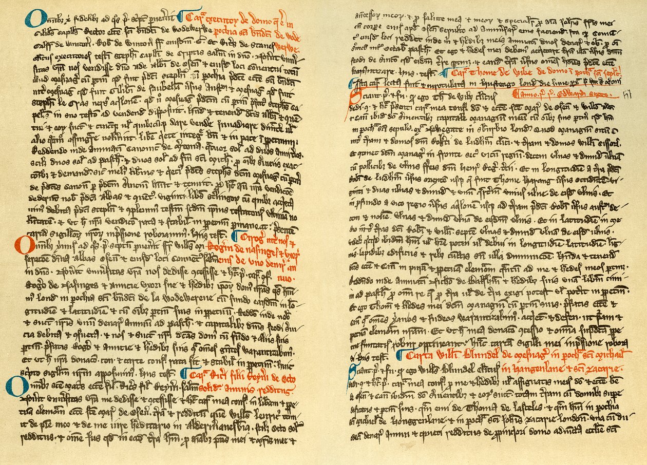 Pagine dal cartulario dell