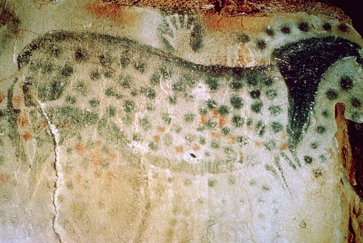 Pittura rupestre paleolitica di un cavallo e mani umane dalla Francia da Unbekannt