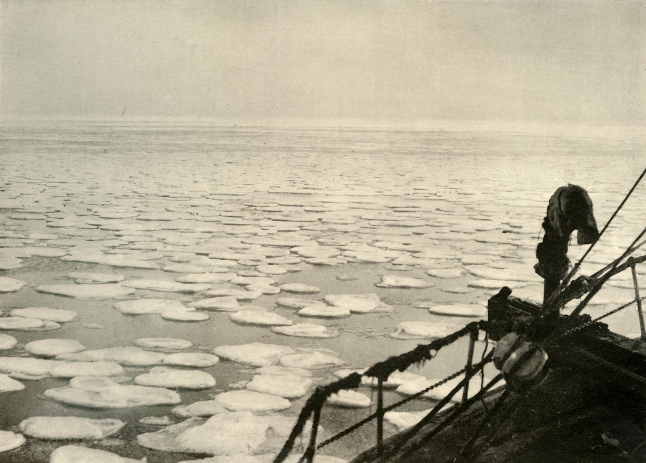Ghiaccio a frittella nel Mare di Ross, c1908, 1909 da Unbekannt