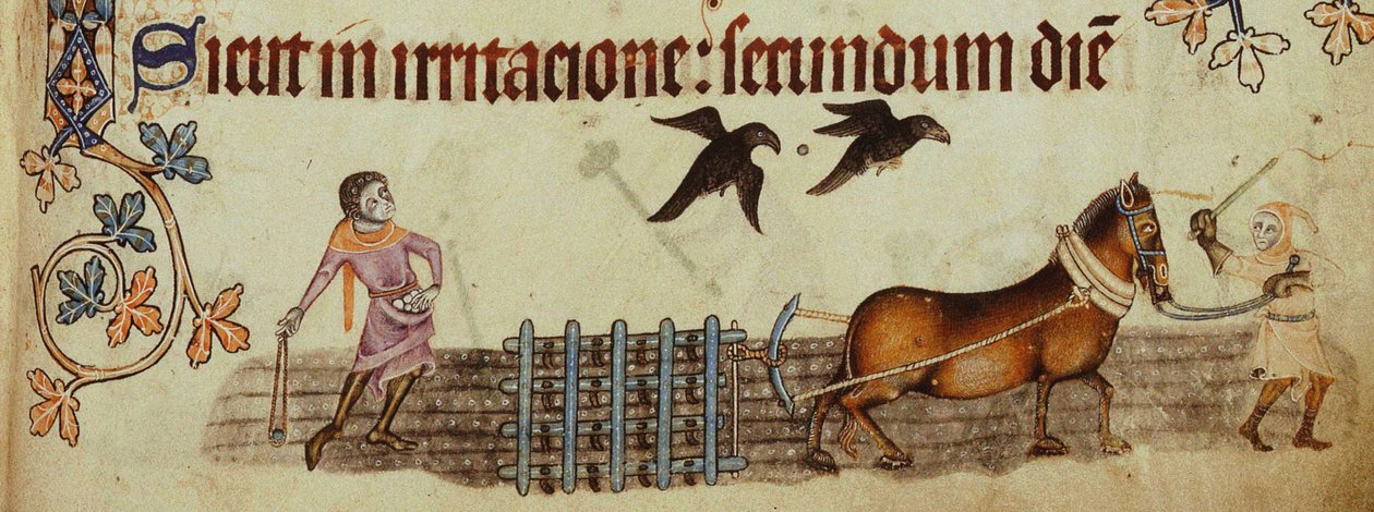 Contadini che arano dal Luttrell Psalter, ca 1330 da Unbekannt