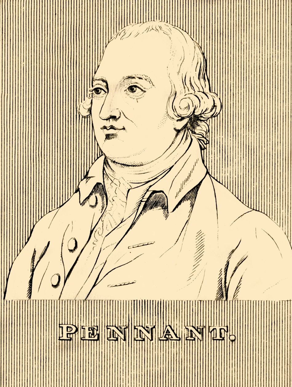 Pennant, 1726-1798, 1830 da Unbekannt