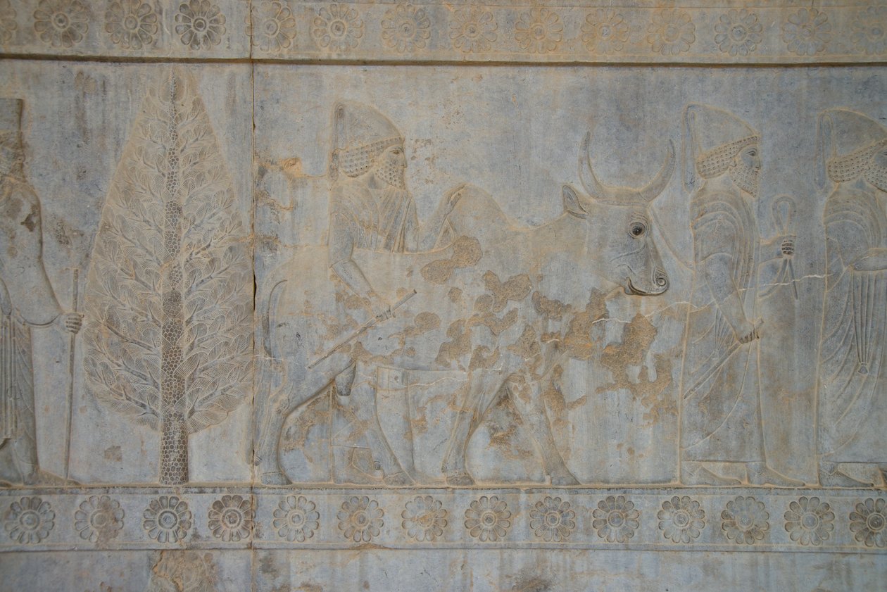 Persepoli, Iran da Unbekannt