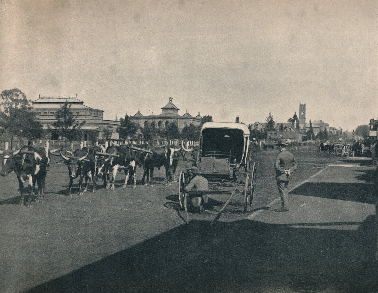 Pietermaritzburg, c1900 da Unbekannt