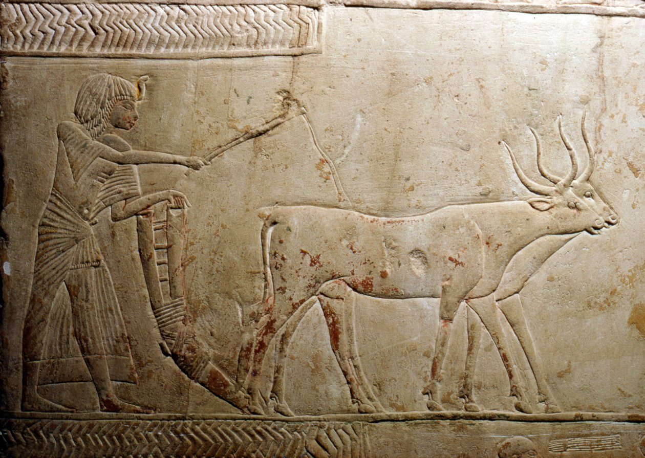 Aratura da una stele egizia, XVIII dinastia, 1332 a.C.-1323 a.C. da Unbekannt