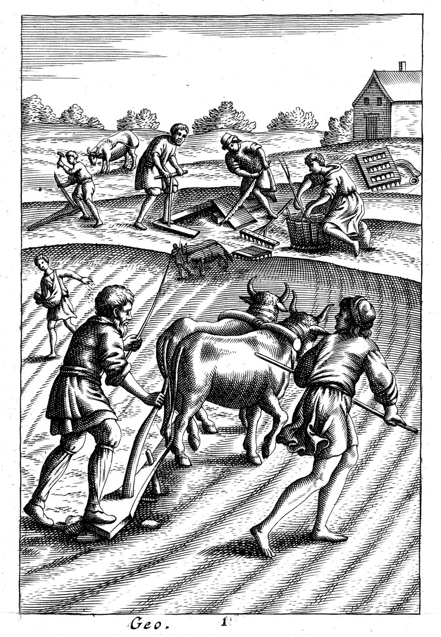 Aratura con buoi, semina a spaglio e erpicatura, XVIII secolo da Unbekannt