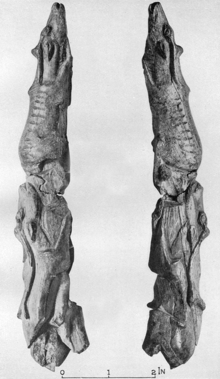 Punta di zanna di mammut incisa con renne, da Montastruc, Bruniquel, Francia, 1926 da Unbekannt