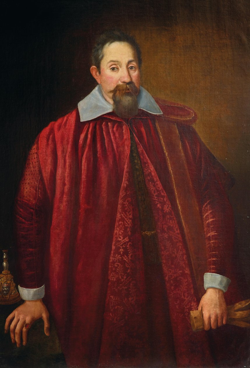 Ritratto di Jacopo Pitti 1519-1589 come senatore fiorentino da Unbekannt