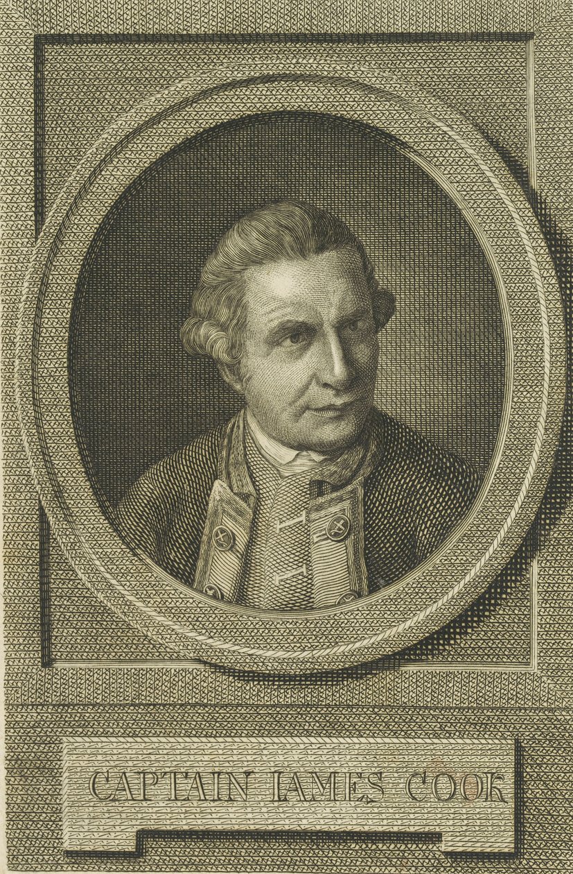 Ritratto di James Cook, dopo il 1771 da Unbekannt