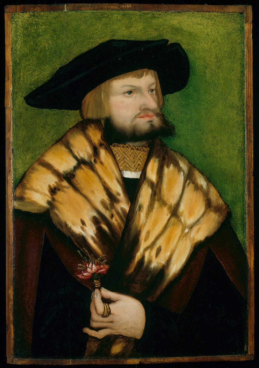 Ritratto di Leonhard Fuchs, 1525 da Unbekannt