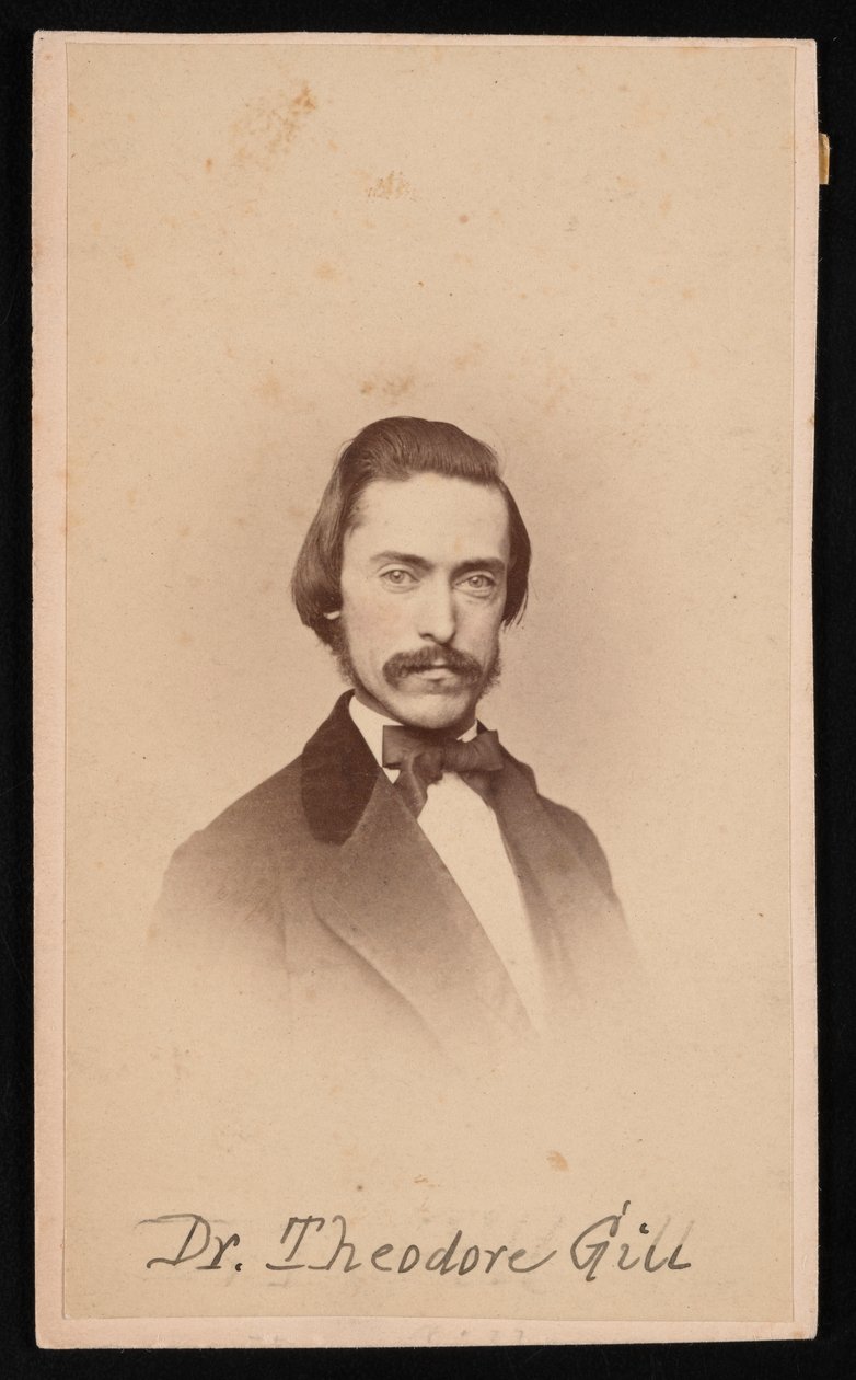 Ritratto di Theodore Nicholas Gill 1837-1914, circa 1860 da Unbekannt