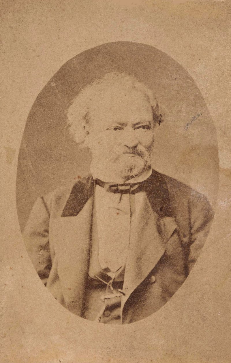 Ritratto del pianista e compositore Ferenc Erkel 1810-1893, c. 1875 da Unbekannt