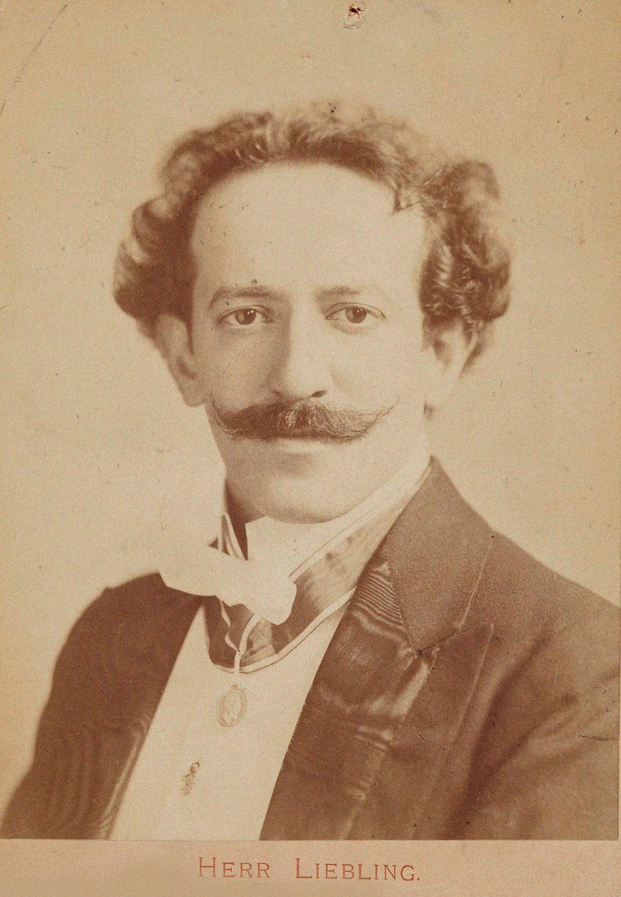 Ritratto del pianista e compositore Georg Liebling 1865-1946, c. 1900 da Unbekannt