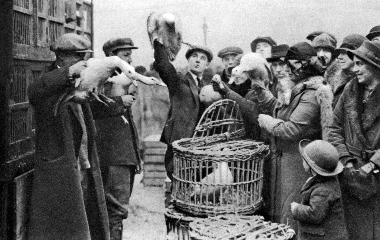 Mercanti di pollame, Caledonian Market, Londra, 1926-1927 da Unbekannt