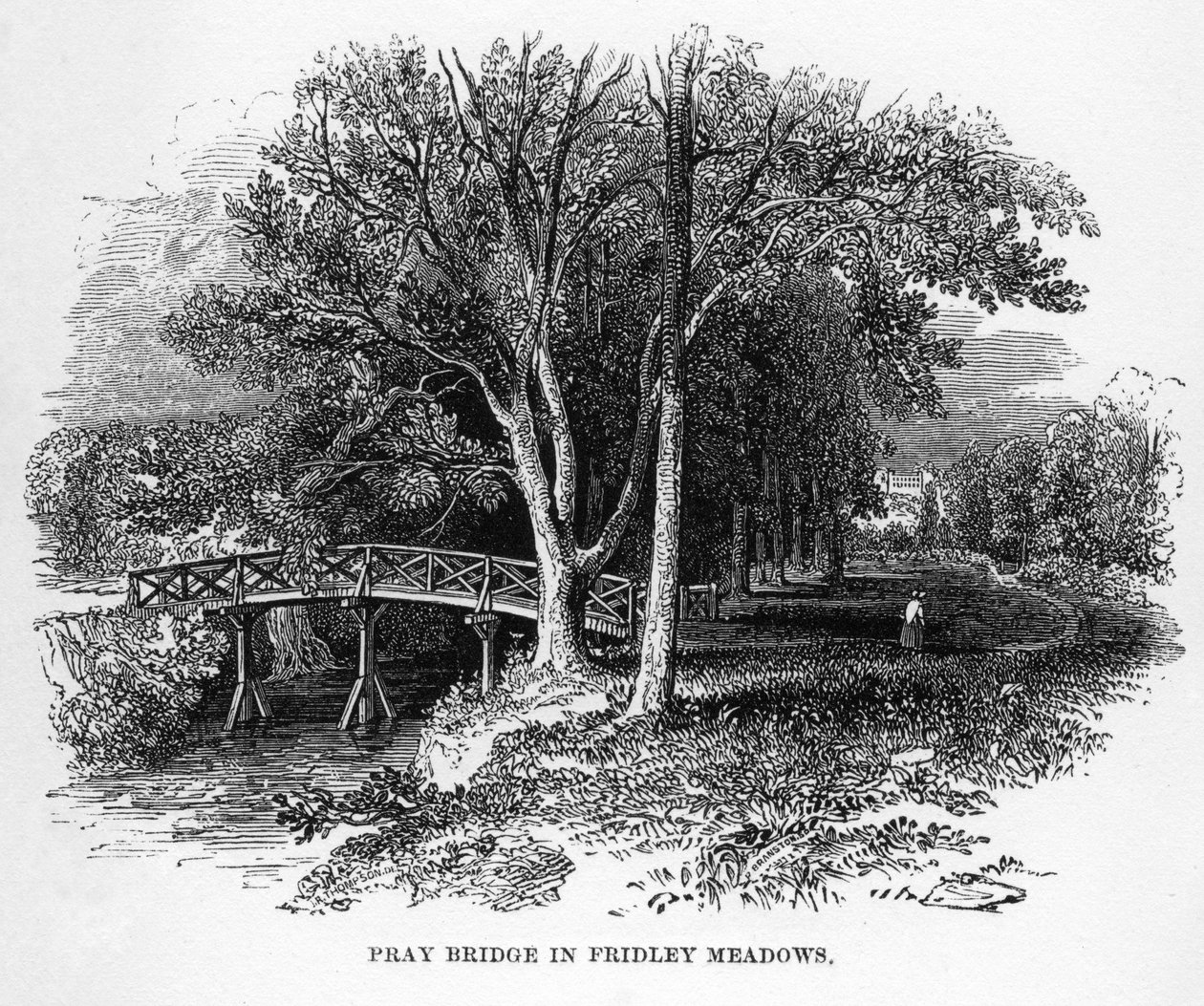 Ponte Pray nei prati di Fridley, Surrey da Unbekannt