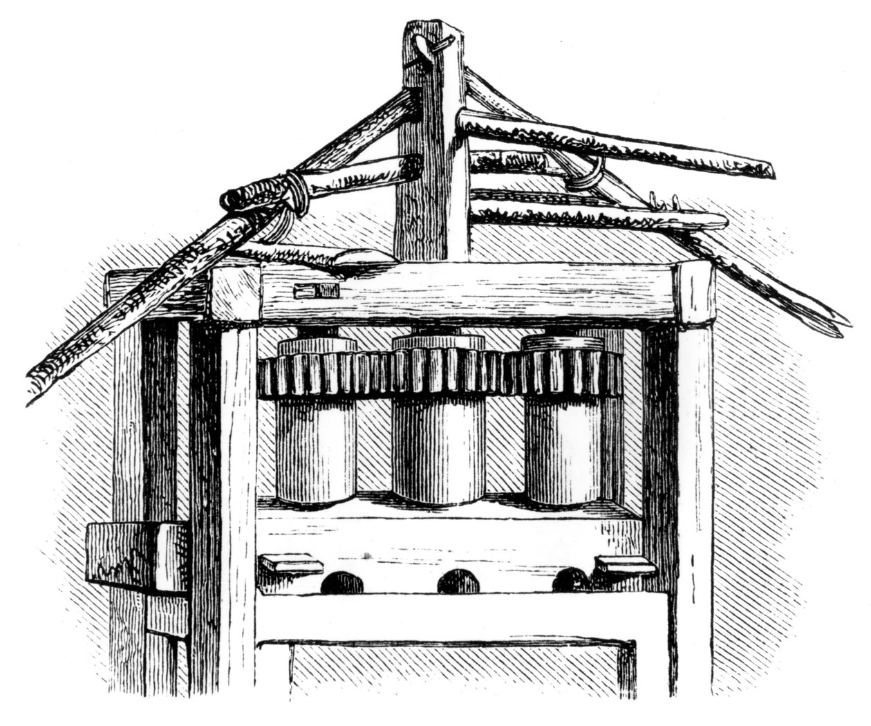 Mulino da zucchero primitivo, Santo Domingo, 1873 da Unbekannt