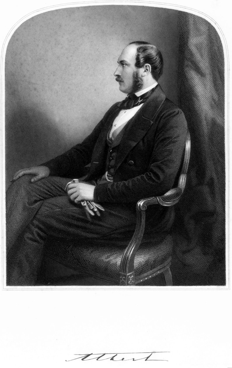Principe Alberto, consorte della regina Vittoria, c 1850-1859 da Unbekannt